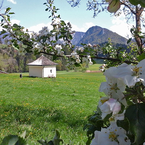 Der Oberhauserhof in Bildern