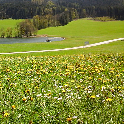 Der Oberhauserhof in Bildern