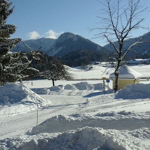 Der Oberhauserhof in Bildern