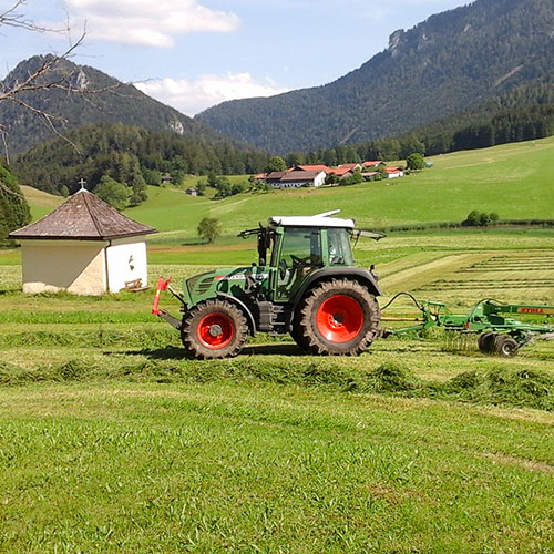 Der Oberhauserhof in Bildern