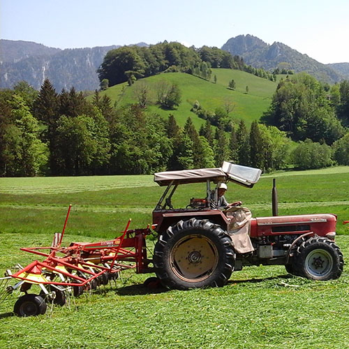 Der Oberhauserhof in Bildern