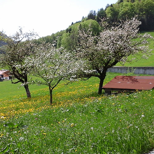 Der Oberhauserhof in Bildern